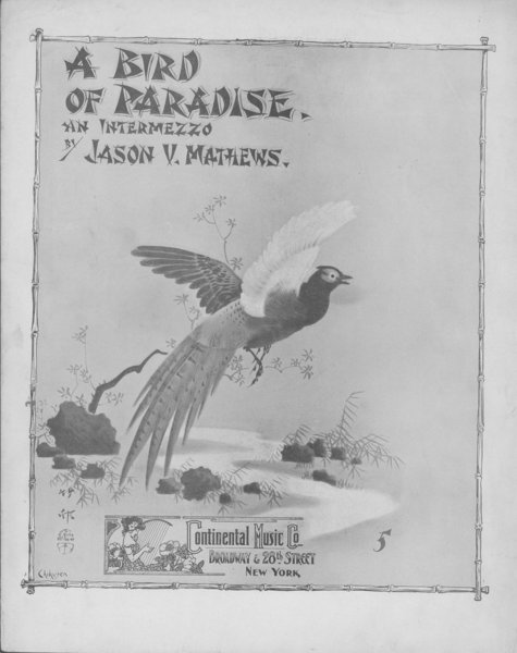 Mathews, Jason V. Bird of paradise. New York: Continental Music Co., 1902.: Page 1 of 6