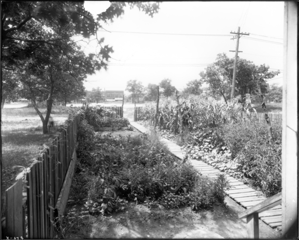 Garden, 752 Connecticut Street, Rear