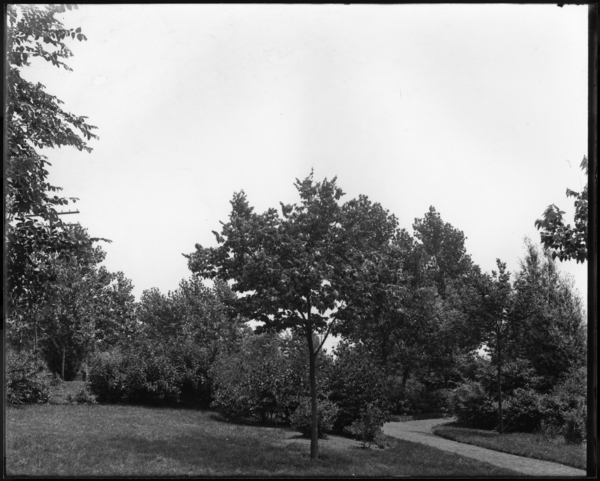 View of 15th Ave. Park, Tolleston