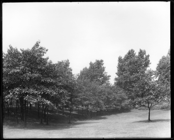 View in West Side Park