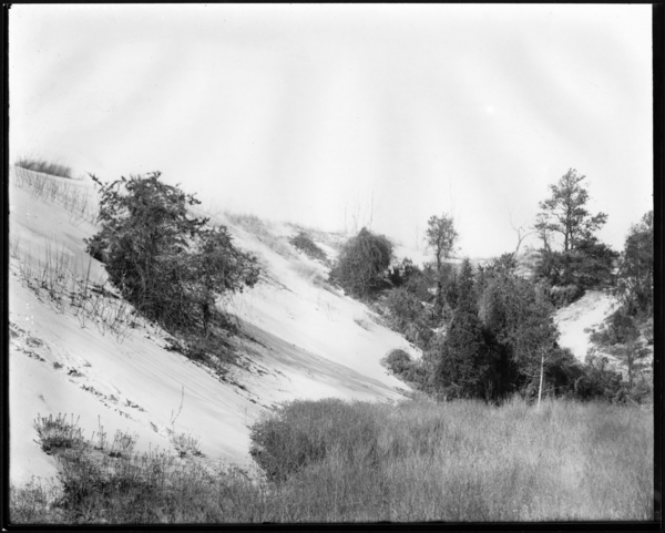 Dunes Photos for Mr. Gleason